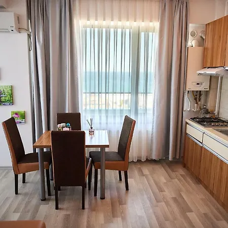 公寓 Seaview Bamboo Mamaia 康斯坦察